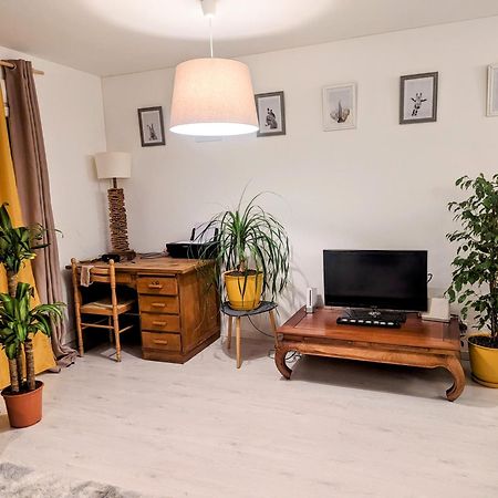 Appartement Cocooning Перпинян Екстериор снимка