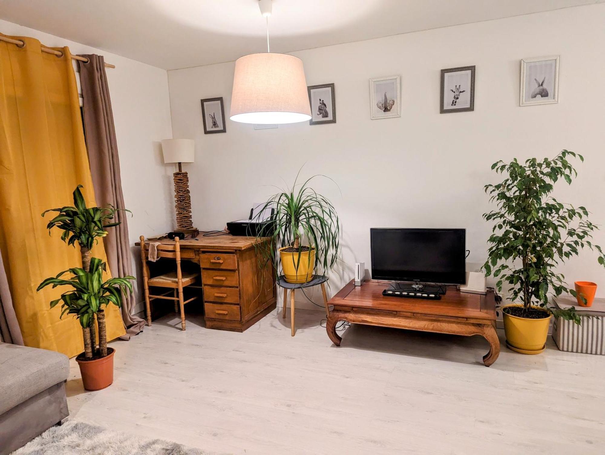 Appartement Cocooning Перпинян Екстериор снимка